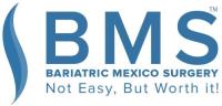Bariatric Mexico Surgery image 1