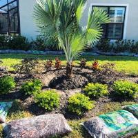 My Tampa Landscaping image 3