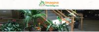 Imagine Plant Design image 1
