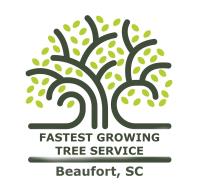 Brands Tree Service LLC image 1