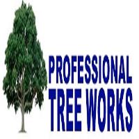 Professional Tree Works image 1