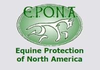 EPONA Horse Rescue New Hampshire image 1