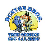 Bunyon Bros. Tree Service image 1