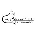 African Exotics Savannahs logo