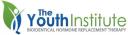 The Youth Institute - Wilmington logo