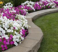 My Lawn Care & Landscaping Co. Inc image 1