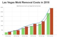 All US Mold Removal Las Vegas NV image 4