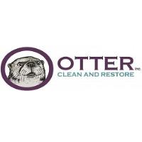 Otter Clean and Restore image 4