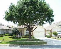 All Pro Tree Services image 1