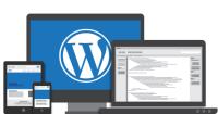 Wordpress Development San Jose  image 2