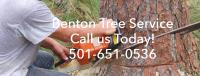 Benton Tree Services image 4