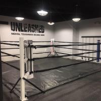 Unleashed Boxing image 4