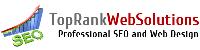 TOP Rank Web Solutions(Subsidiary of B&B) image 2