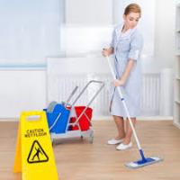 carpet cleaning los angeles image 1