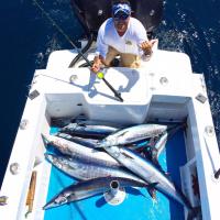 Ecuagringo - Marlin and Tuna Fishing image 2