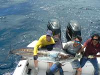 Ecuagringo - Marlin and Tuna Fishing image 3