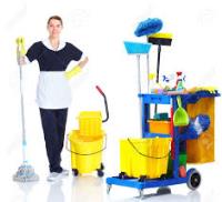carpet cleaning los angeles image 2
