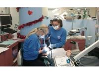 Lakeshore Dental Care image 3