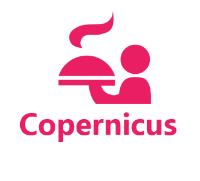 Copernicushotel.Pl image 1