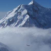 Denali Adventure Tours LLC image 2