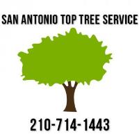 San Antonio Top Tree Service image 1