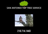 San Antonio Top Tree Service image 2