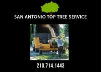 San Antonio Top Tree Service image 3