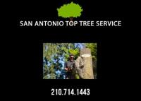 San Antonio Top Tree Service image 4