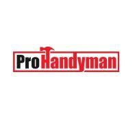 Pro Handyman Bellevue image 1