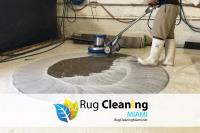 Rug Cleaning Company Miami image 4