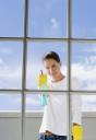 Window Sky Professional Cleaning Service logo