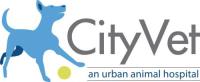 CityVet, an urban animal hospital image 1