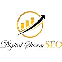 Digital Storm Orange County SEO image 1