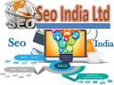 Seo India logo