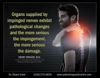 Cobb Chiropractic Clinic image 6