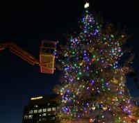 We Hang Christmas Lights LLC image 6