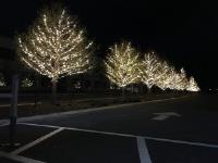 We Hang Christmas Lights LLC image 10