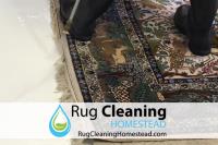 Rug Cleaning Homestead Pros image 4
