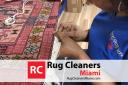 Rug Cleaners Miami Pros logo