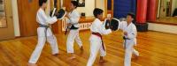 California Karate Academy image 6