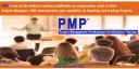PMP Training in Detroit logo