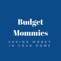 Budget Mommies image 1