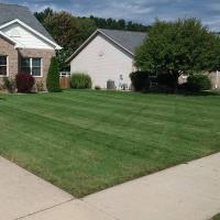Silver Clean-Up Lawn Maintenance image 1