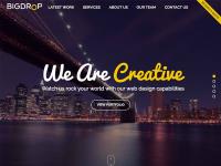 Big Drop Inc, Web Design and Developer Company image 2