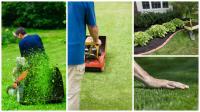 My Green Serve Lawn Maintenance image 1