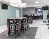 Comfort Inn & Suites BWI Airport image 19