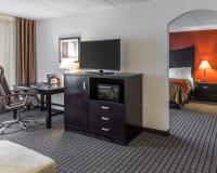 Comfort Inn & Suites BWI Airport image 22
