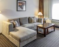 Comfort Inn & Suites BWI Airport image 27