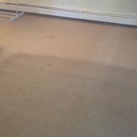 FACT Carpet & Upholstery Cleaning image 5
