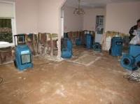 Abington Water Damage Remediation and Restoration image 1